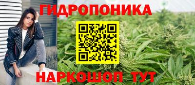 твердый Лесосибирск
